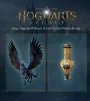 Гра Hogwarts Legacy для Sony PlayStation 4, Blu-ray (5051895413418) - 10