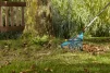 Грабли Gardena Combisystem пластиковые веерные, 35-52 см (03099-20.000.00) - 7