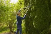 Ножницы для живой изгороди Gardena TeleCut телескопические (12304-20.000.00) - 7