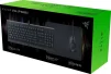 Комплект (клавіатура, мишка) Razer Level Up Bundle USB (RZ85-02741200-B3M1) - 10