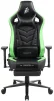 Кресло для геймеров 1stPlayer DK1 Pro FR Black&Green - 1