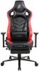 Крісло для геймерів 1stPlayer DK1 Pro FR Black&Red - 1