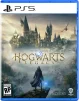 Игра Hogwarts Legacy для PlayStation 5, Russian Subtitles, Blu-Ray диск (5051895413425) - 1