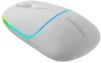 Миша бездротова Canyon MW-22 Dual Band RGB Wireless Snow White (CNS-CMSW22SW) - 5