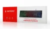 Клавиатура Gembird KB-UML-01-RU Black USB UKR - 4