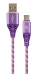 Кабель Cablexpert (CC-USB2B-AMCM-2M-PW), USB2.0 - USB Type C, 2м, Purple/White