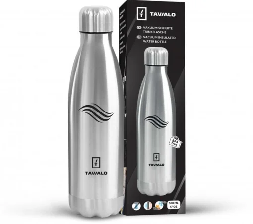 Термобутылка Tavialo 500 мл серебристая (191500109)