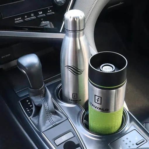 Термобутылка Tavialo 500 мл серебристая (191500109)