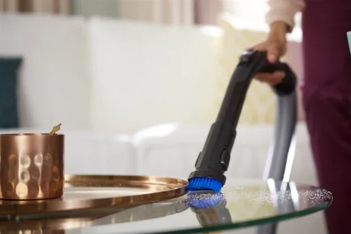 Пылесос Philips FC9550/09