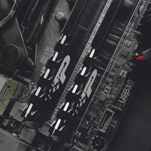 Модуль памяти DDR4 8GB/3200 Patriot Signature Premium (PSP48G320081H1)