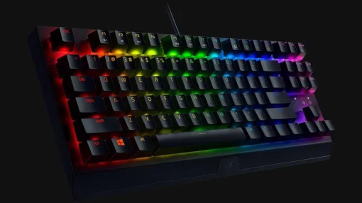 Клавиатура Razer BlackWidow V3 TKL Black (RZ03-03490700-R3R1)