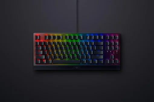 Клавиатура Razer BlackWidow V3 TKL Black (RZ03-03490700-R3R1)