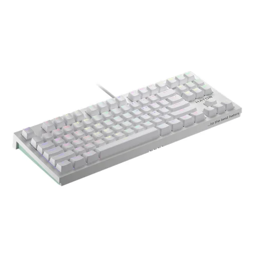 Клавиатура Hator Skyfall TKL Pro White (HTK-656)