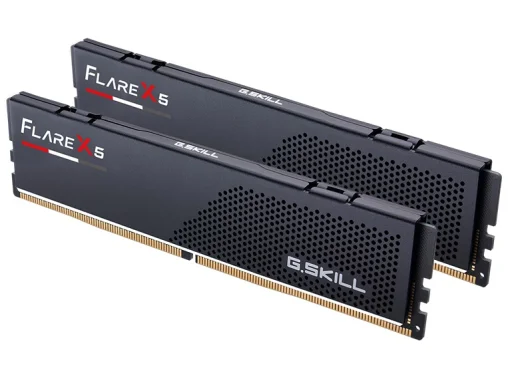 Модуль пам`ятi DDR5 2x16GB/5600 G.Skill Flare X5 (F5-5600J3636C16GX2-FX5)