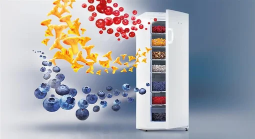 Морозильная камера Snaige F27SM-T1000E