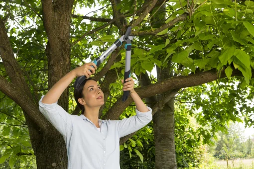 Сучкорез для зеленых веток Gardena EasyCut 500 B, обводной, 42 мм (12002-20.000.00)