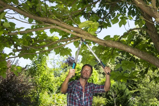 Сучкорез для зеленых веток Gardena EasyCut 680 B, обводной, 42 мм (12003-20.000.00)