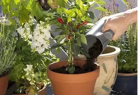 Комплект садовых инструментов Gardena Classic Ergo (арт.8950, 8754, 11511) с ковшом (08966-30.000.00)