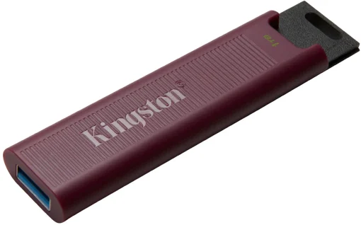 Флешка KINGSTON DataTraveler Max USB3.2 1TB (DTMAXA/1TB)
