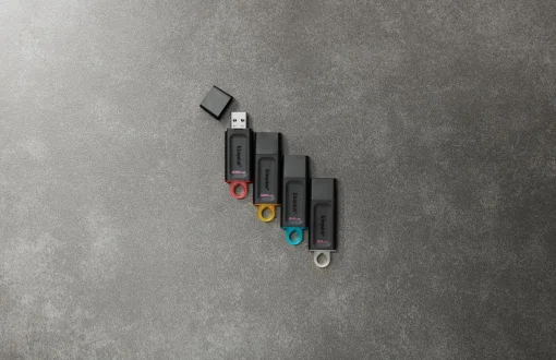 Флэш-накопитель USB3.2 256GB Kingston DataTraveler Exodia Black/Pink (DTX/256GB)