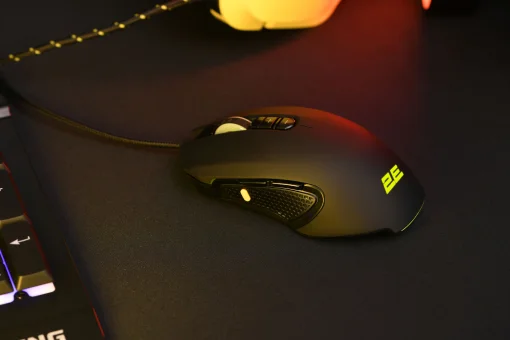 Мишка 2E Gaming MG310 LED USB Black (2E-MG310UB)