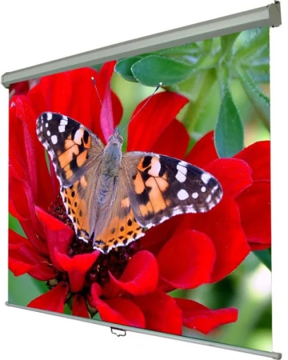 Проекційний екран WALFIX SNM-5 300x225см