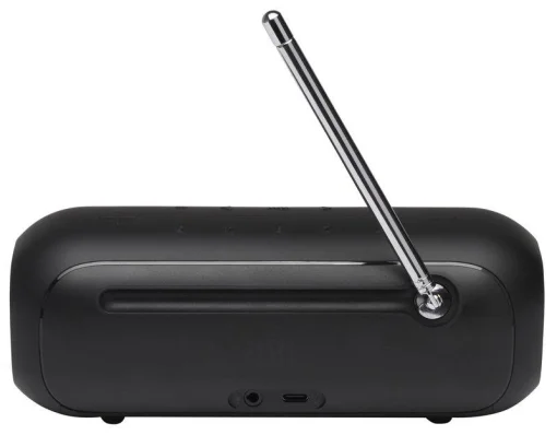 Акустическая система JBL Tuner 2 Black (JBLTUNER2BLK)